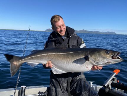 Bilder av fisker med sei