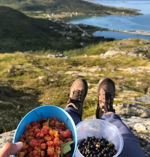 Tur vengsøy