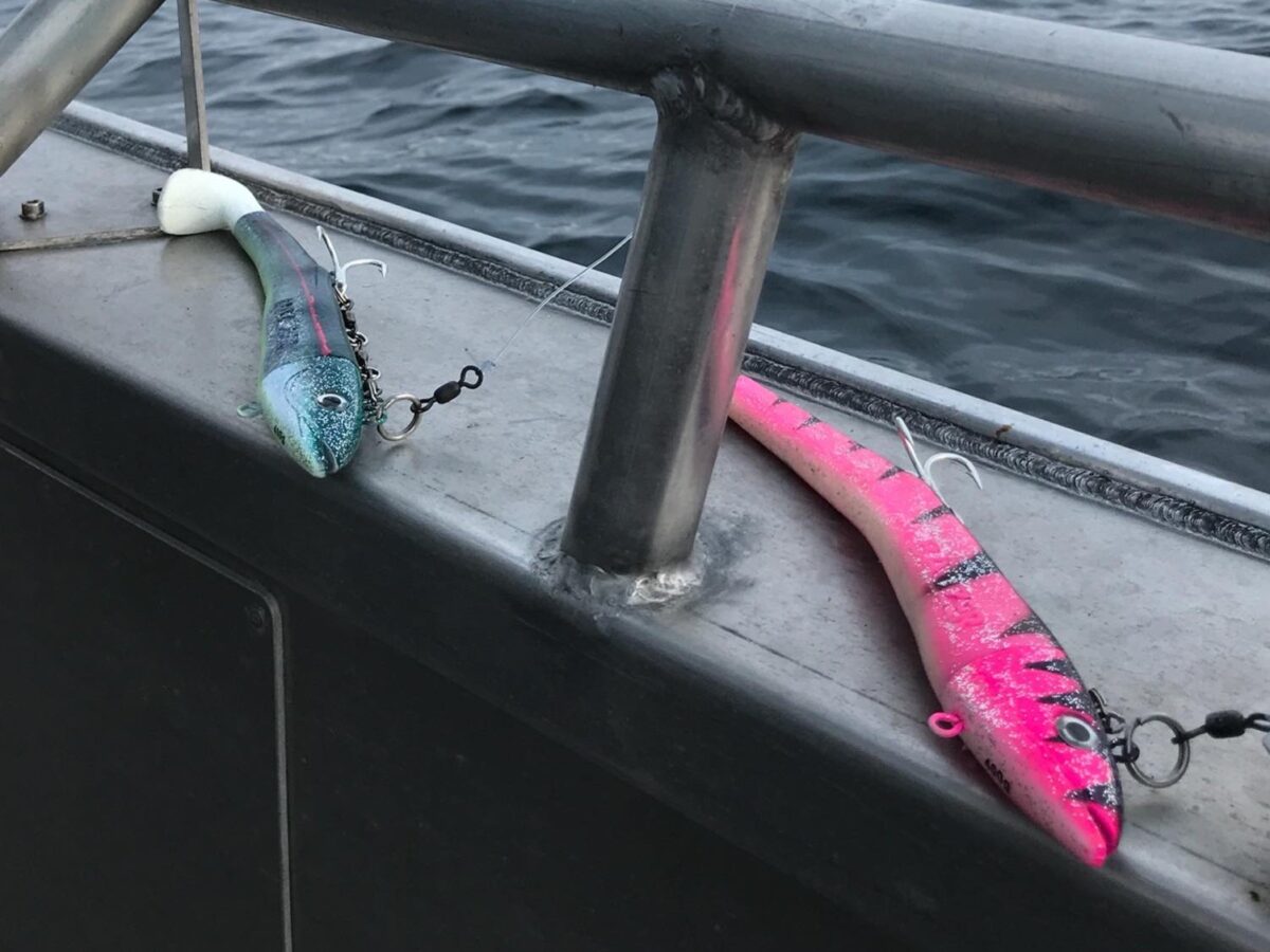 Gummifische